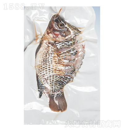 С�˝O ��ȸ��