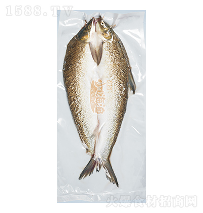 С�˝O �y�L�~