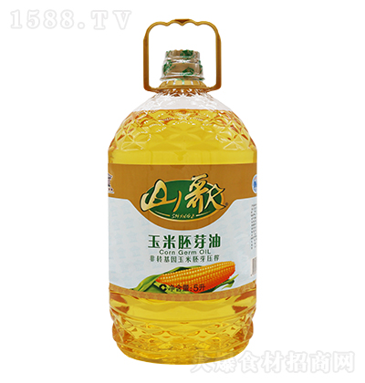 ɽ�� ������ѿ��  5��