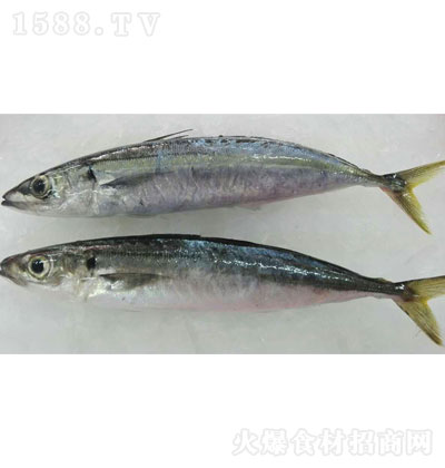 �|ɽ�����L�w�A�� ˮ�a(ch��n)���r ���ʳƷ ���r����