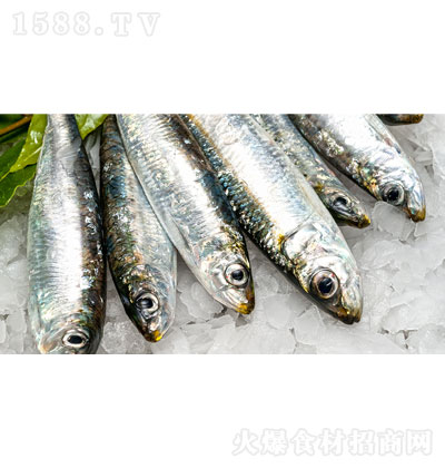 �|ɽ����ɳ���~ ˮ�a(ch��n)���r ���ʳƷ ���r����