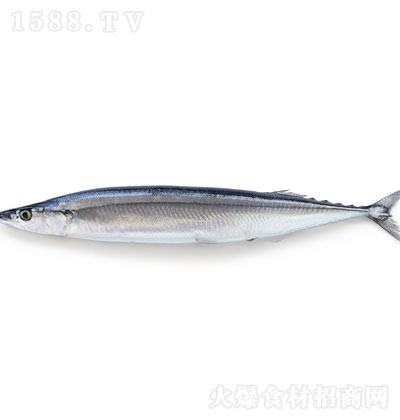 �|ɽ�����ﵶ�~ ˮ�a(ch��n)���r ���ʳƷ ���r����