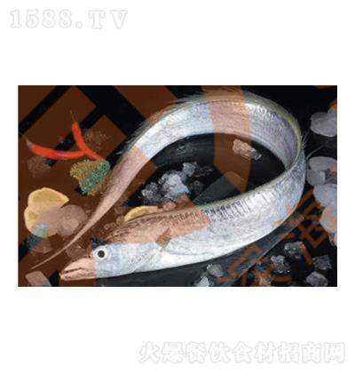 ���Ӽ� ���~