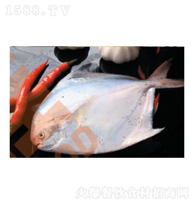 ���Ӽ� �K�~