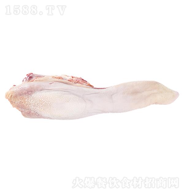 ���dԴ ţ��