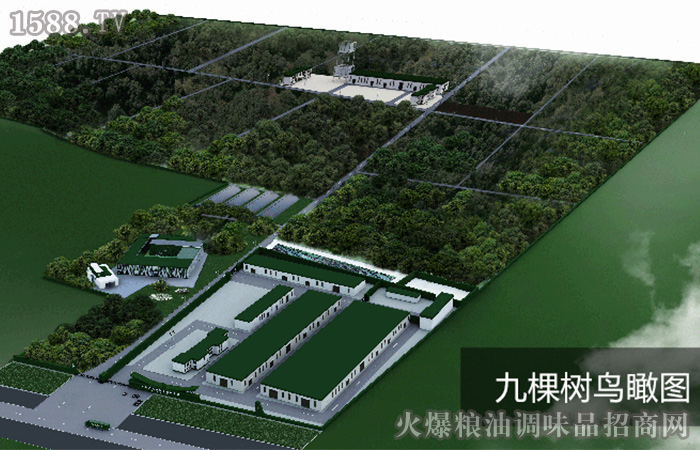 河南九棵樹農(nóng)業(yè)發(fā)展有限公司