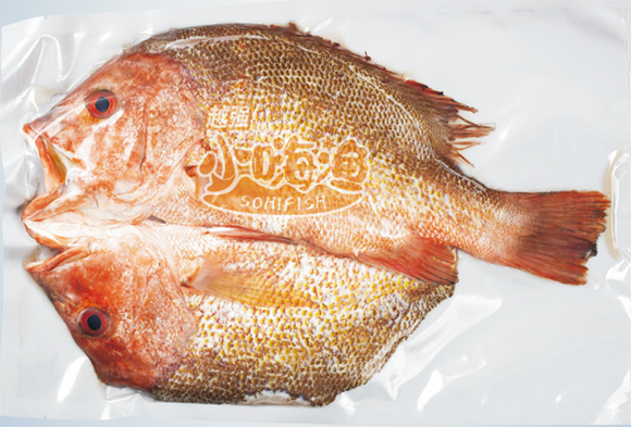 С�˝O���t��