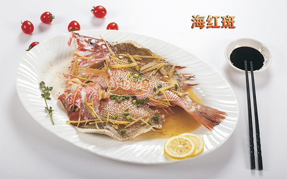 С�˝O���t��