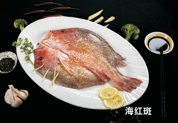 С�˝O���t��