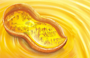 ���D(zhu��n)����ʳ����