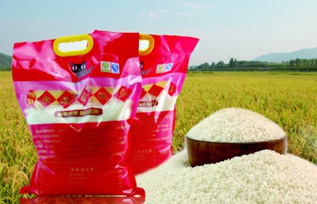 �׺�����