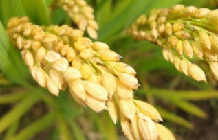 ���D(zhu��n)�������