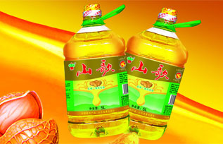 ɽ�軨����