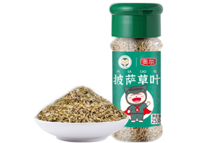 �W�����_���~