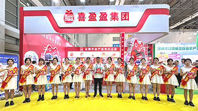 ���ƏV���ݴ�������